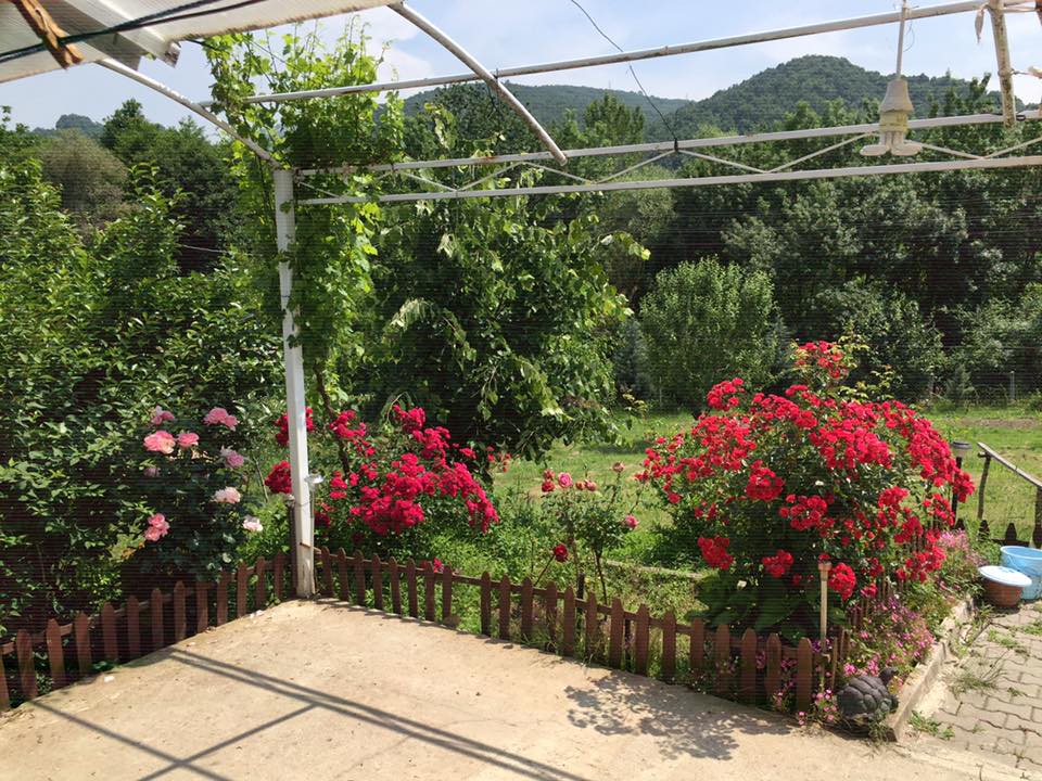 Altınova Aktoprak Köyü Resimleri 8