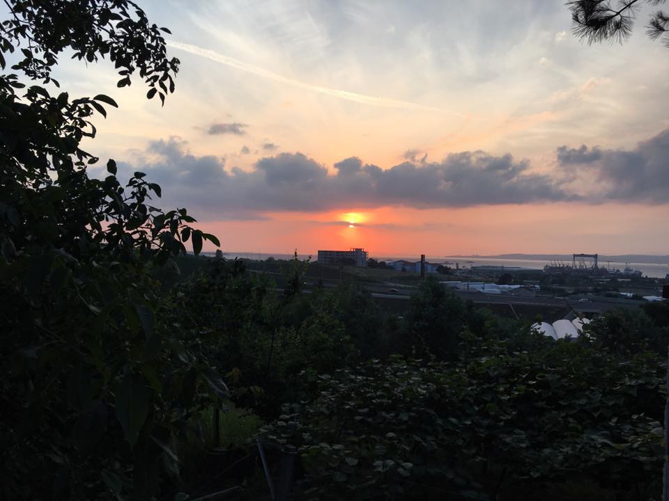 Altınova Çavuşçiftliği Köyü Resimleri 3