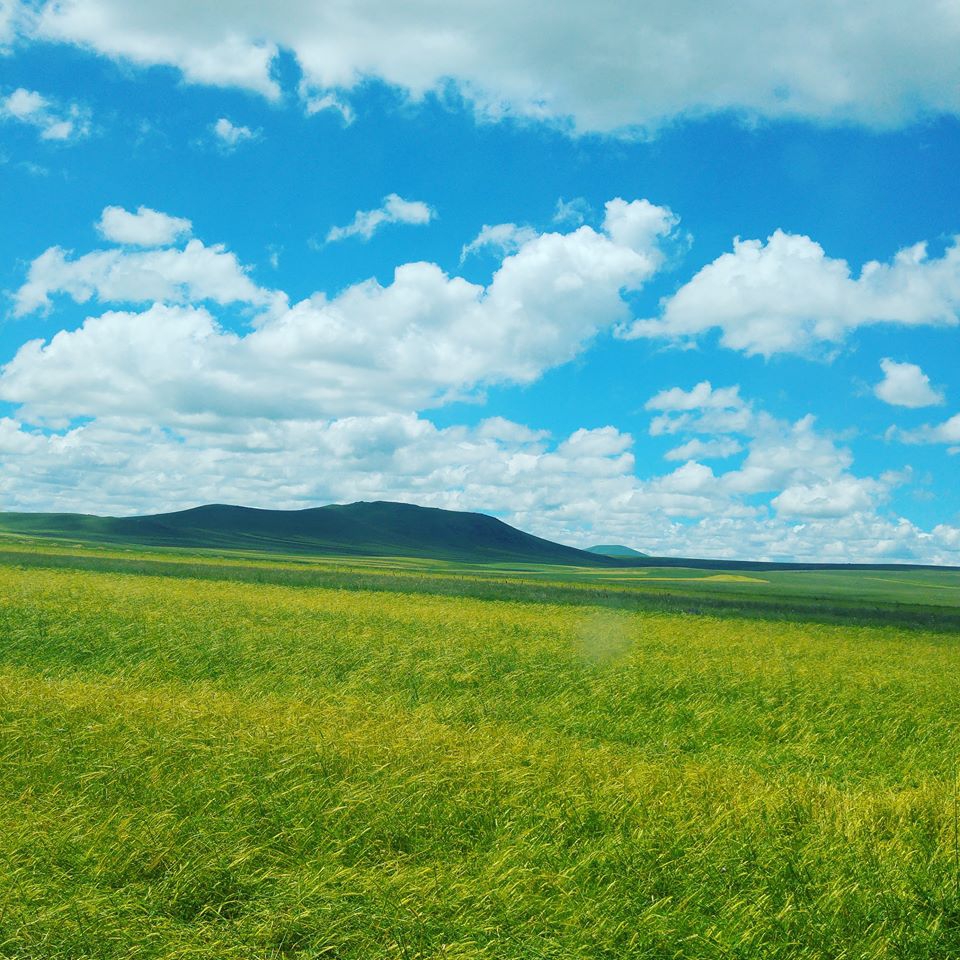 Kars Ortagedikler Köyü Resimleri 1