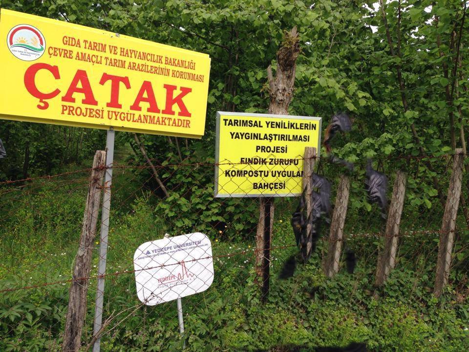 Çarşamba Çatak Köyü Resimleri 1