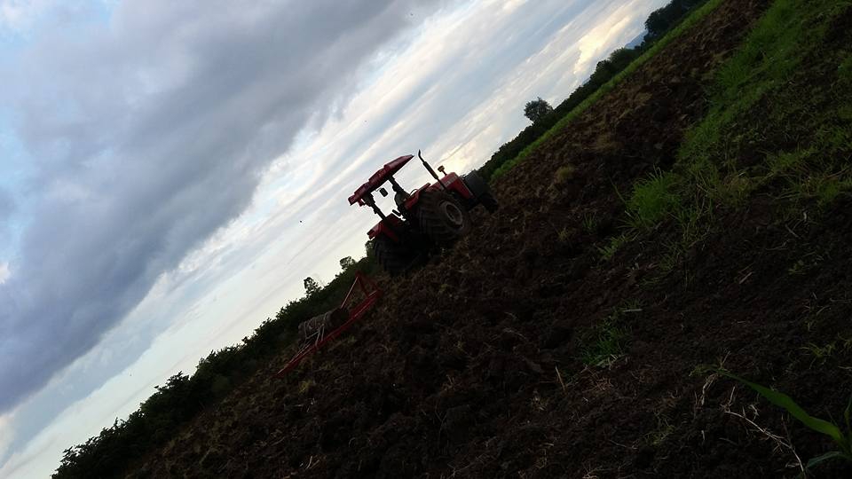 Çarşamba Çayvar Köyü Resimleri 1