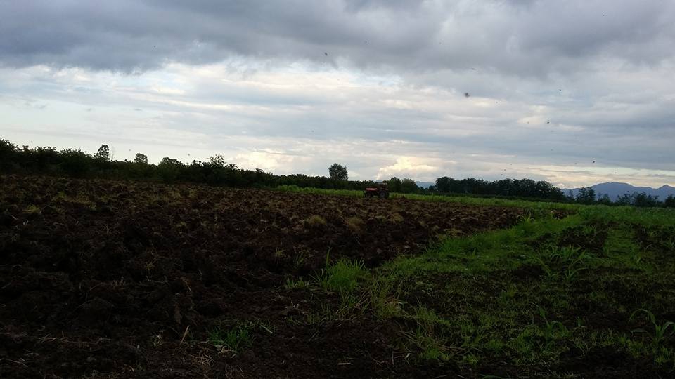 Çarşamba Çayvar Köyü Resimleri 9