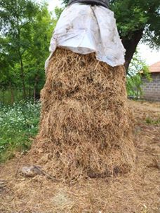 Çarşamba Çerçiler Köyü Resimleri 2