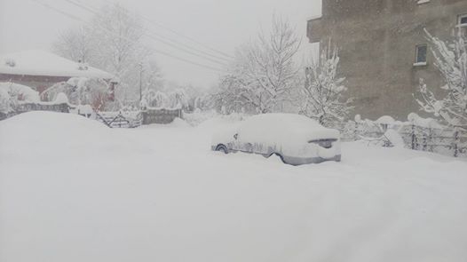 Çarşamba Çerçiler Köyü Resimleri 3