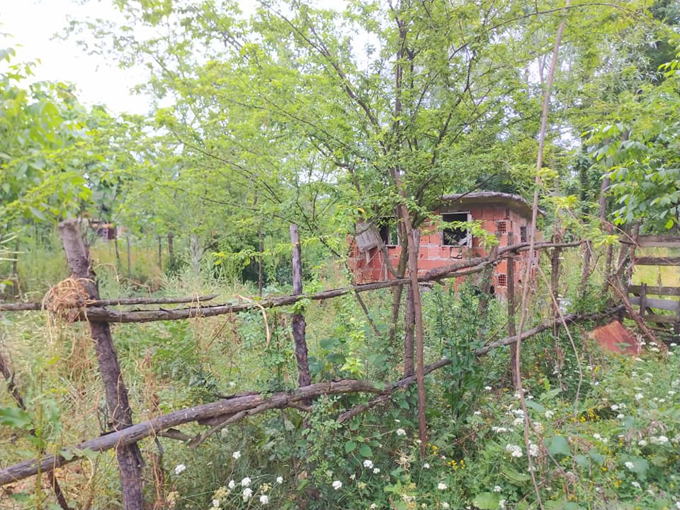 Çarşamba Çerçiler Köyü Resimleri 8