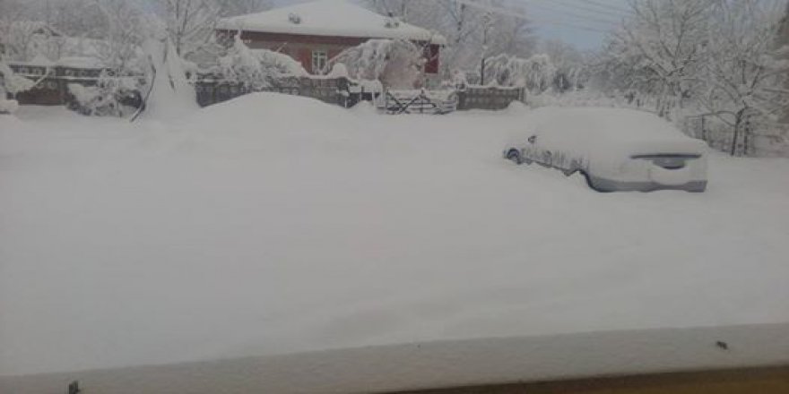 Çarşamba Çerçiler Köyü Resimleri