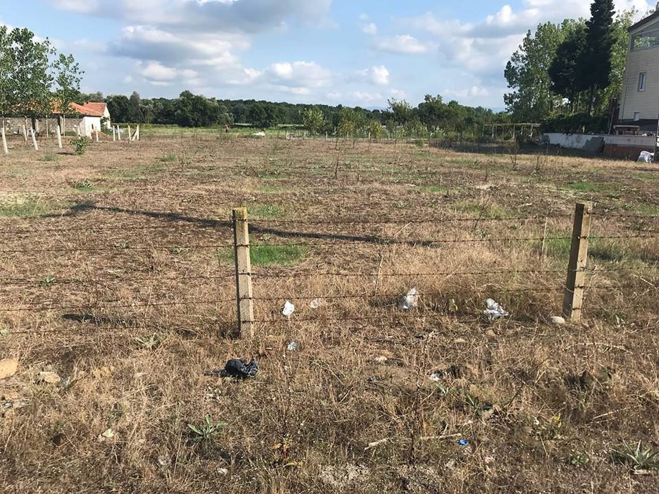 Çarşamba Çınarlık Köyü Resimleri 4