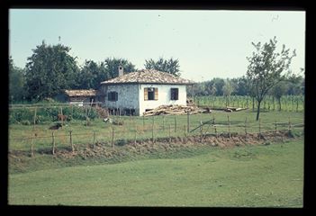 Çarşamba Çınarlık Köyü Resimleri 6