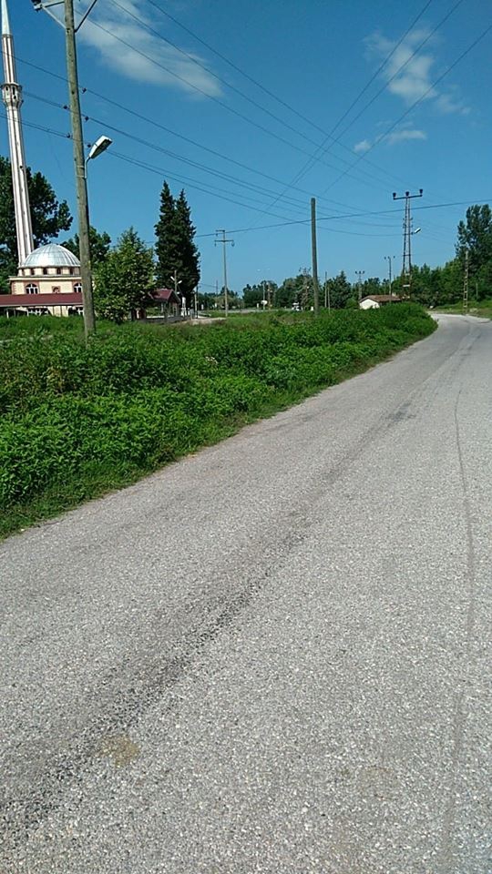 Çarşamba Dalbahçe  Köyü Resimleri 1