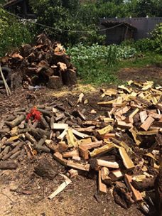 Çarşamba Dalbahçe  Köyü Resimleri 3