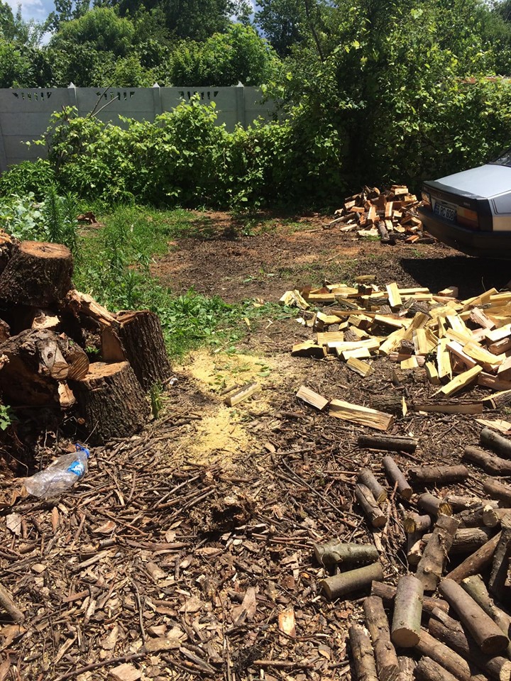 Çarşamba Dalbahçe  Köyü Resimleri 6