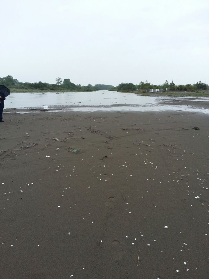 Çarşamba Damlataş Köyü Resimleri 11