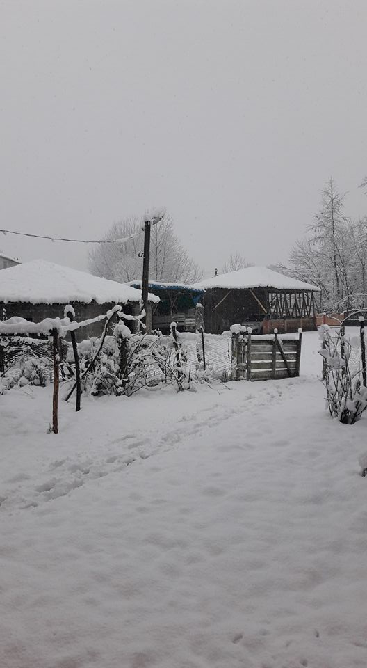 Çarşamba Damlataş Köyü Resimleri 6