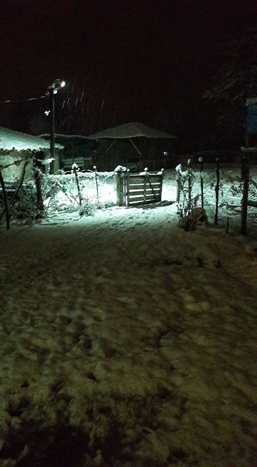 Çarşamba Damlataş Köyü Resimleri 7