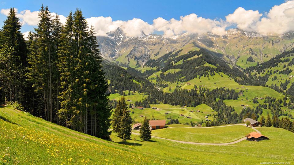 Çarşamba Damlataş Köyü Resimleri 9