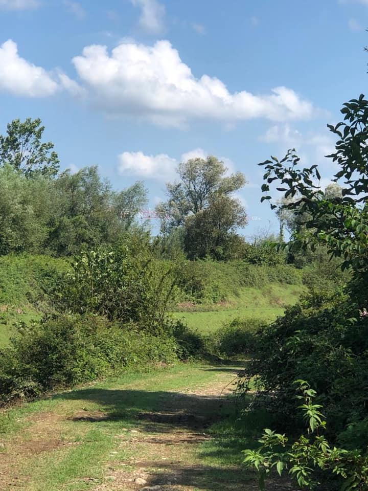 Çarşamba Demirarslan Köyü Resimleri 1