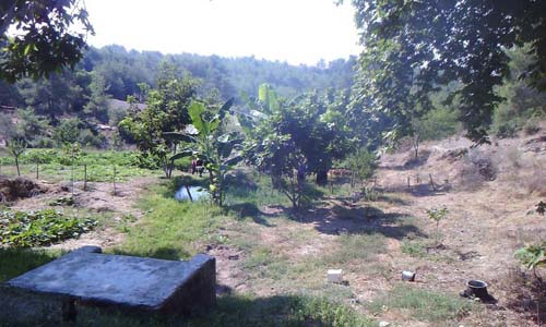 Adana Sarıçam Boztepe Köyü Resimleri 7