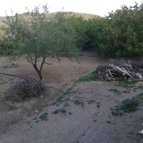 Çiçekdağı Haydarlı Köyü Resimleri 1