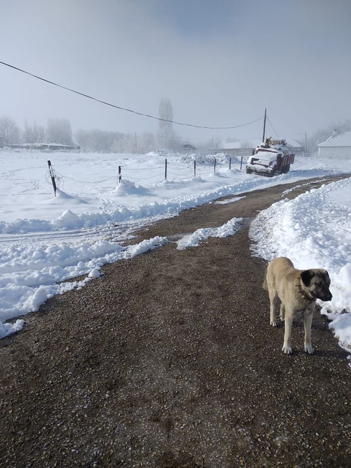 Kaman Darıözü Köyü Resimleri 4