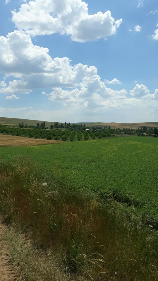 Kaman Darıözü Köyü Resimleri 5