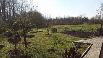 Hendek Uzuncaorman Köyü Resimleri 1