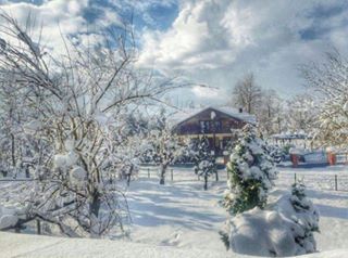 Hendek Uzuncaorman Köyü Resimleri 3