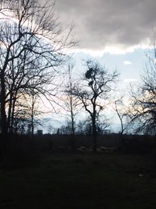 Hendek Uzuncaorman Köyü Resimleri 4