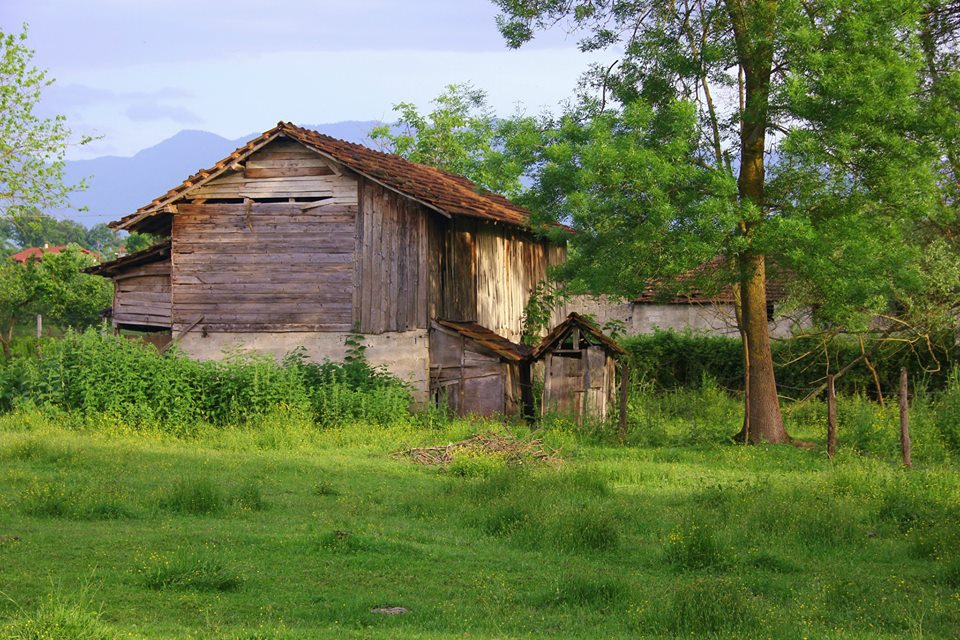 Hendek Uzuncaorman Köyü Resimleri 5
