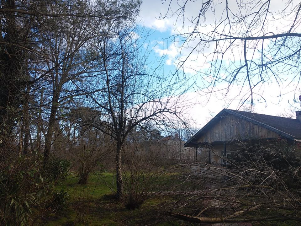 Hendek Uzuncaorman Köyü Resimleri 6