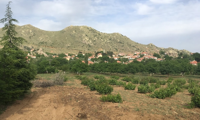 Kaman Ömerhacılı Köyü Resimleri 1