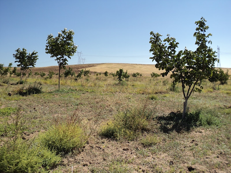 Kaman Yukarı Çiftlikli Köyü Resimleri 1