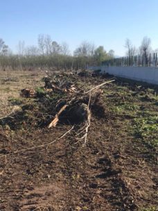 Çarşamba Demircili Köyü Resimleri 11