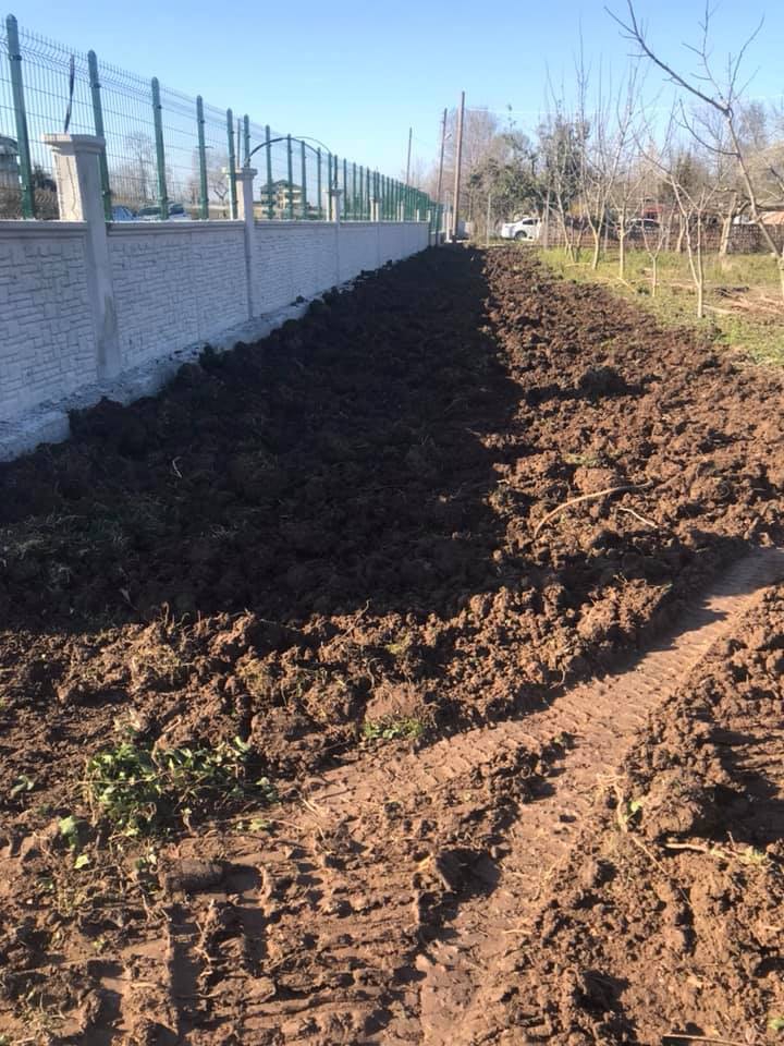 Çarşamba Demircili Köyü Resimleri 3