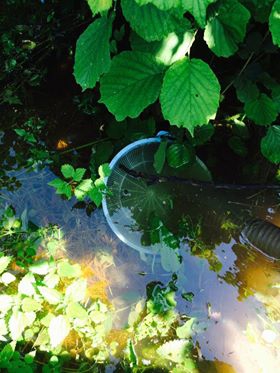 Çarşamba Demircili Köyü Resimleri 6
