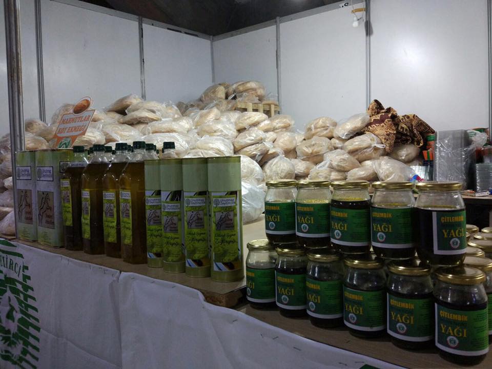 Çarşamba Demircili Köyü Resimleri 7