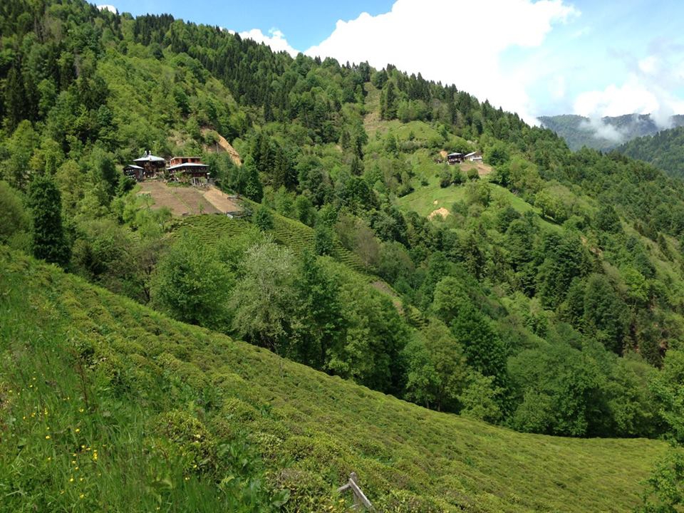 Çarşamba Demirli  Köyü Resimleri 4