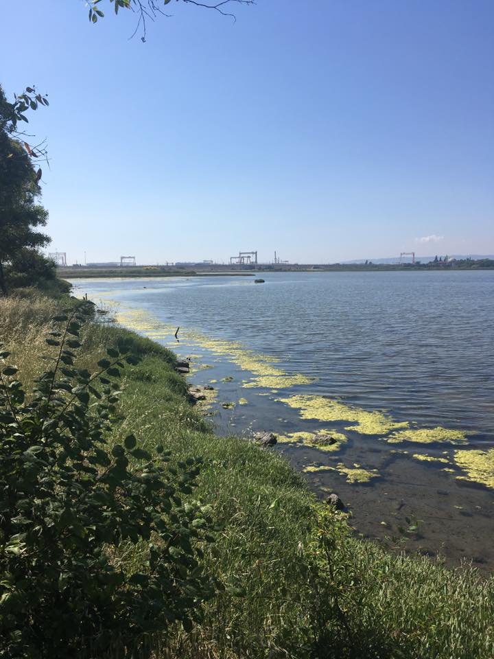 Altınova Hersek Köyü Resimleri 5