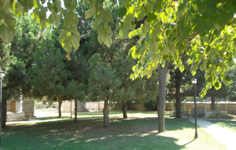 Altınova Hersek Köyü Resimleri 7