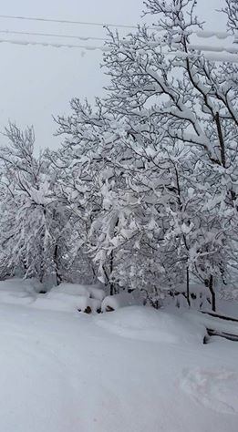 Çarşamba Deyincek Köyü Resimleri 7