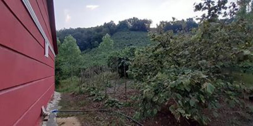 Çarşamba Deyincek Köyü Resimleri