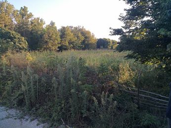 Çarşamba Dikbıyık Köyü Resimleri 10