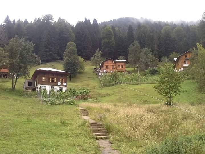 Çarşamba Dikbıyık Köyü Resimleri 8
