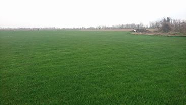 Çarşamba Durakbaşı Köyü Resimleri 10