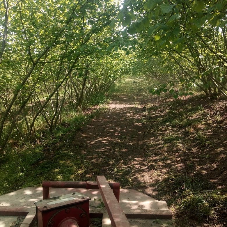 Çarşamba Durakbaşı Köyü Resimleri 11