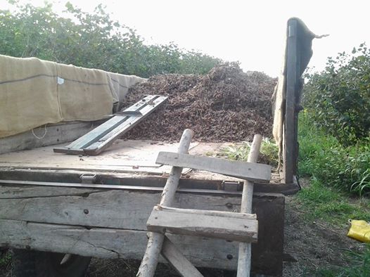 Çarşamba Durakbaşı Köyü Resimleri 3