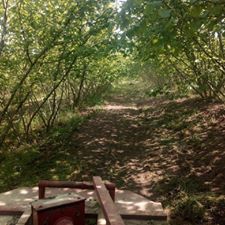 Çarşamba Durakbaşı Köyü Resimleri 4