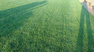 Çarşamba Durakbaşı Köyü Resimleri 7