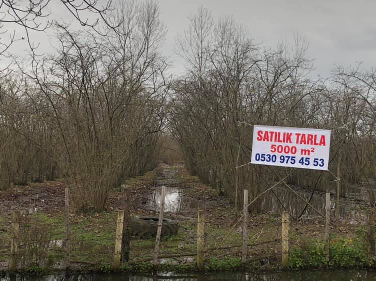 Çarşamba Durusu Köyü Resimleri 2