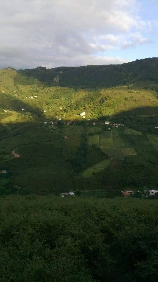 Çarşamba Eğridere Köyü Resimleri 1