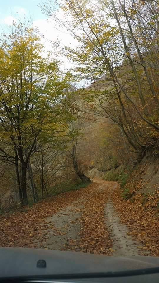 Çarşamba Eğridere Köyü Resimleri 13